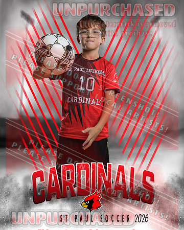IND Soccer-23-brown_4