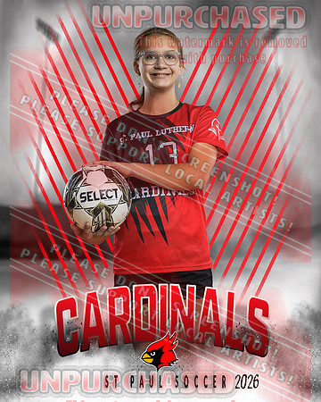 IND Soccer-32-brown_4