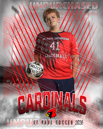 IND Soccer-2-brown_4