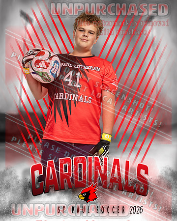 LM Soccer-6_3