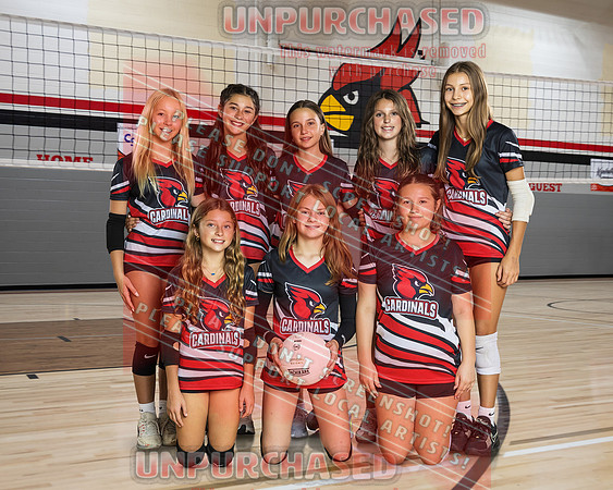 8x10 A1 VB Team