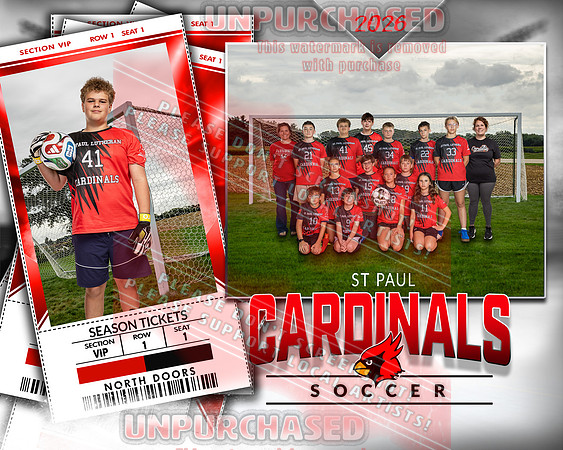 LM Soccer-6-brown