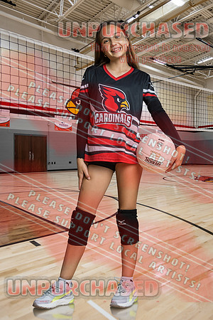 IND A1 Volleyball-13