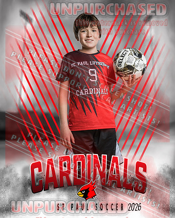 IND Soccer-42-brown_3