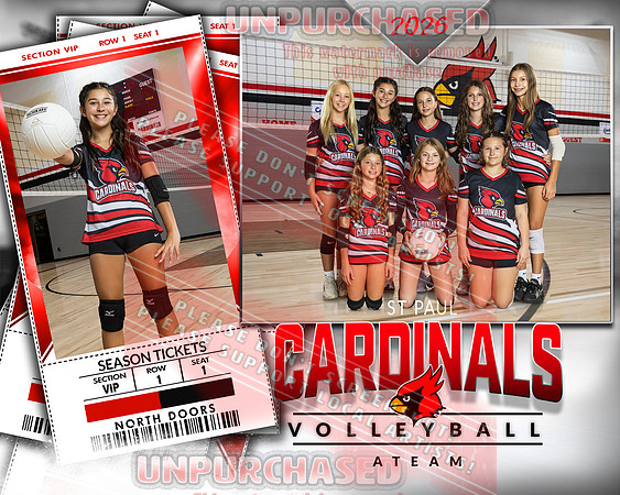 IND A1 Volleyball-15_2