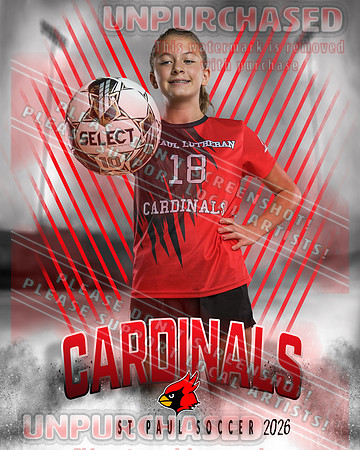 IND Soccer-28-brown_4
