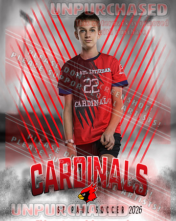 IND Soccer-22-brown_4