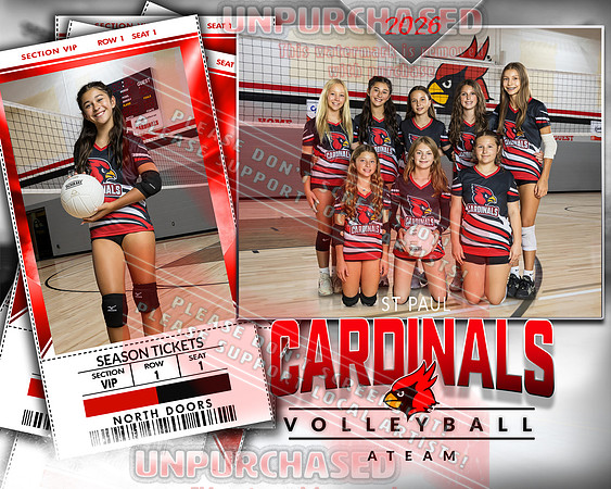 IND A1 Volleyball-14_2