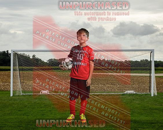 IND Soccer-27-brown_2