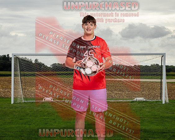 LM Soccer-3-brown_2