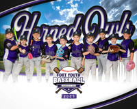 FYB Horned Owls 2025