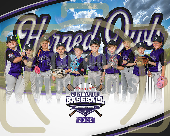 8X10 Horned Owls Team
