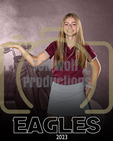 Payton Schmidt banner_2