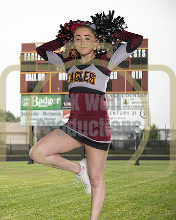 Ashlyn Tessmann Banner_2