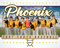 8X10 Phoenix Team