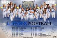 12x18 LM Softball Poster 1st copy