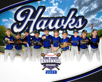 8X10 Hawks Team