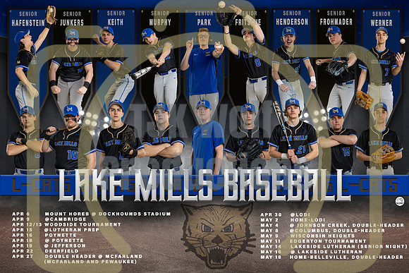 12x18 LM BASEBALL POSTER upated copy