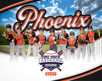 8X10 Phoenix Team