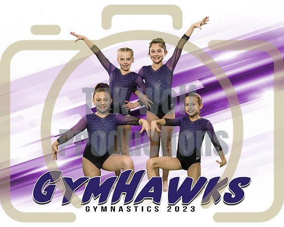 Level 3 Team