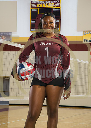 Leauntea Watson JV-1