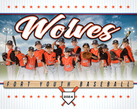 8x10 Wolves Team