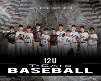T-Cats Team Players