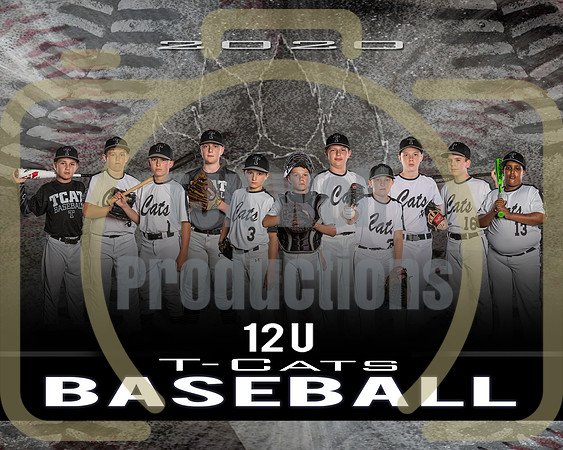 T-Cats Team Players