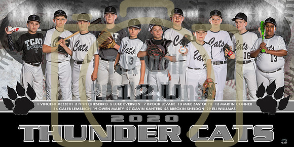 Thunder Cats Banner copy