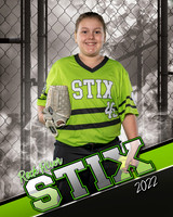 Emily Shickowski team copy