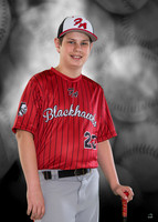 Brady Wolfram banner
