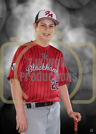 Brady Wolfram banner