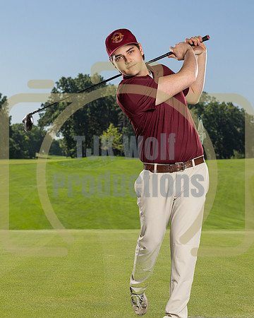 Alan Hauser banner_2