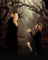 Analisa Boshart Senior-2_2