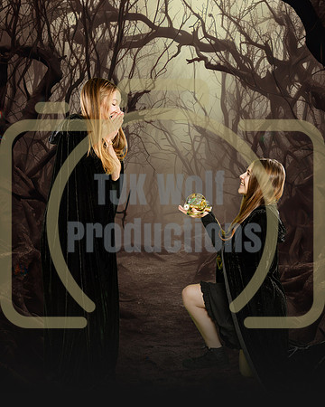 Analisa Boshart Senior-2_2