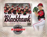 Beckett Allard-3 copy