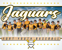 8X10 Jaguars Team