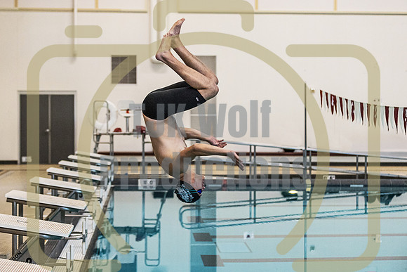 Will Reese Pool