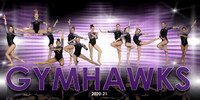 10X20 Updated Gymhawks Team 20-21
