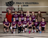 STP Volleyball 24