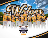 8X10 Wolves Team