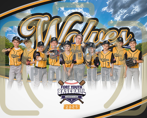 8X10 Wolves Team