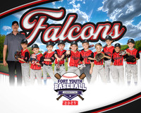 FYB Falcons 2025
