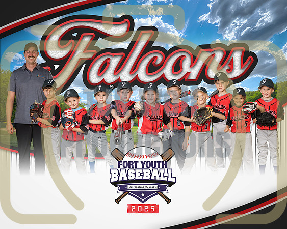 8X10 Falcons Coaches
