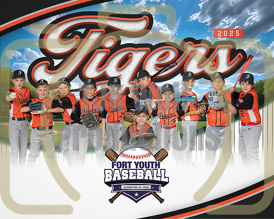 8x10 Tigers Team